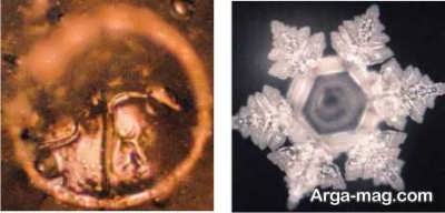 The effect of words on water molecules 5