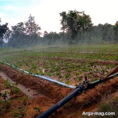 فواید آبیاری بارانی در کشاورزی