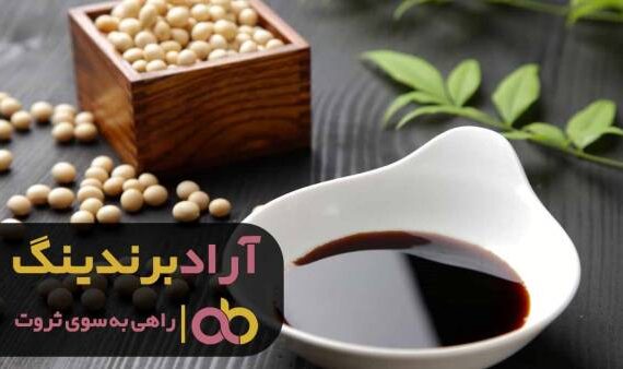 معجزه سس سویا برای کودکان و نوجوانان