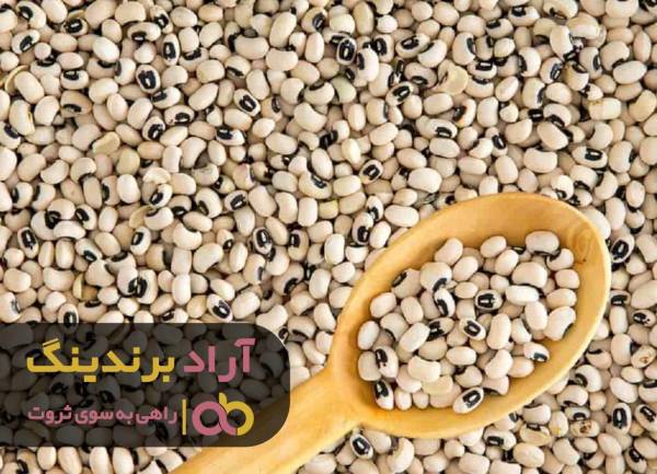 با کسب و کار لوبیا خود را در پول غرق کردم