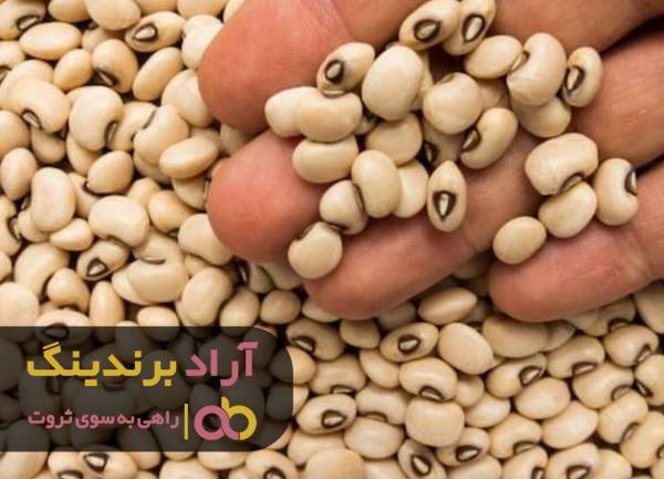 با کسب و کار لوبیا خود را در پول غرق کردم
