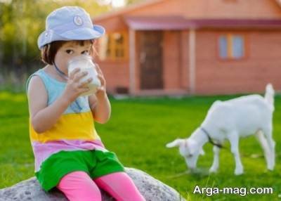 آماده سازی شیر بز برای کودک