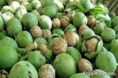 پوست گردو و پیشگیری از ریزش مو 