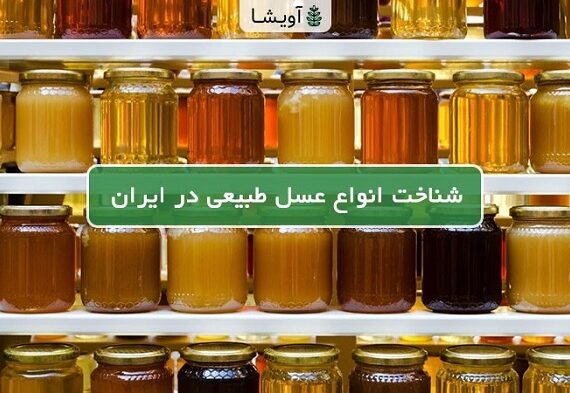 شناخت انواع عسل طبیعی و نکاتی که پیش از خرید باید بدانید