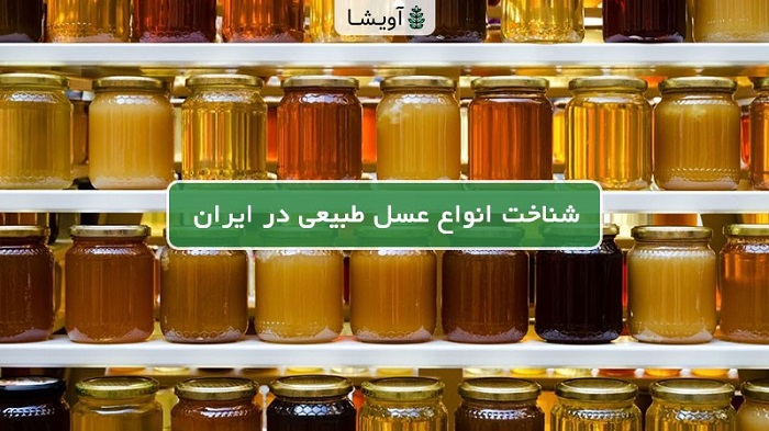شناخت انواع عسل طبیعی و نکاتی که پیش از خرید باید بدانید