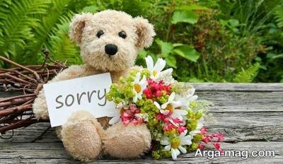 بیان روش صحیح عذرخواهی