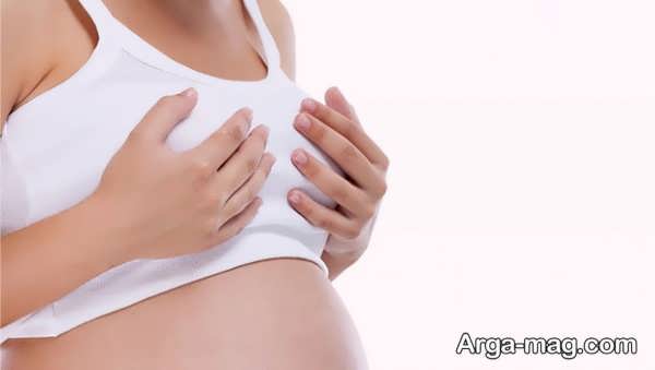 تغییرات پستان در سه ماهه سوم بارداری