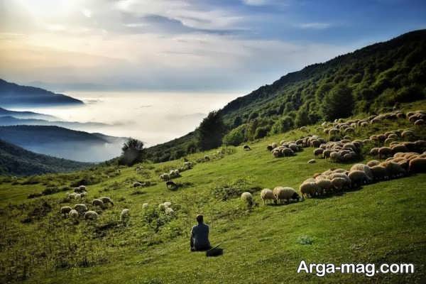 دیلمان ییلاقی زیبا در شمال کشور