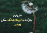 مجموعه ای از بیوگرافی خاص