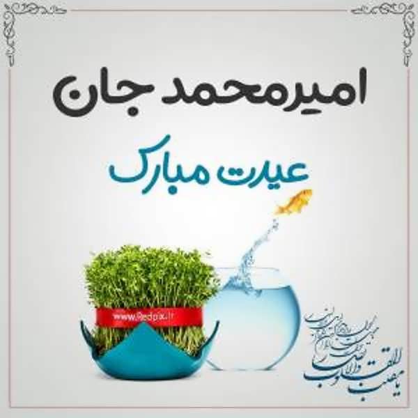 تصویر پروفایل اسم امیر محمد برای تبریک عید نوروز