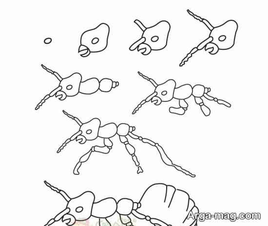 طراحی گام به گام حشرات