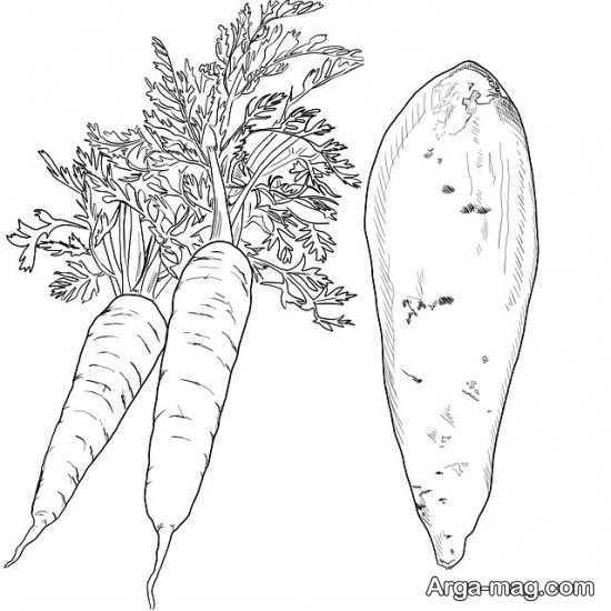 رنگ آمیزی خاص هویج