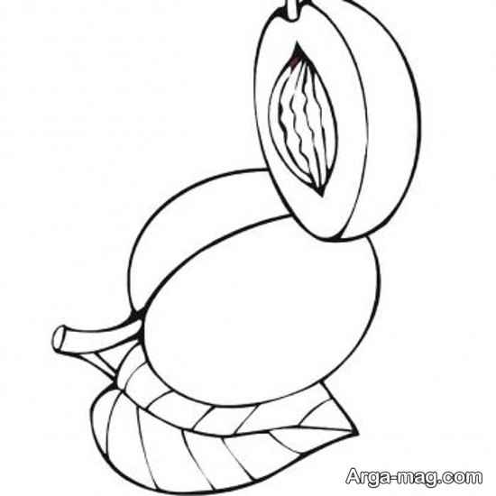 طراحی ساده هلو