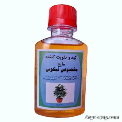 چند کود فیکوس