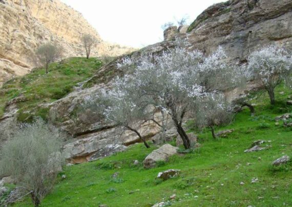 روستای خشت کلات