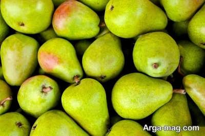 انتخاب میوه ی گلابی مناسب برای مصرف مادران باردار