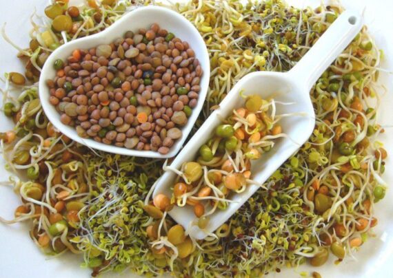 خواص جوانه لوبیا و روش مصرف آن
