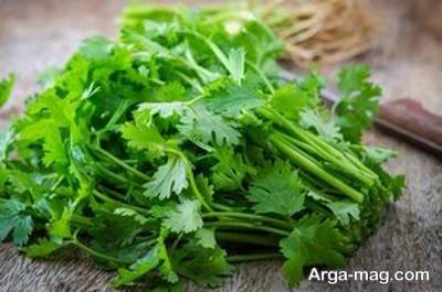 جعفری راهی برای درمان کبودی گردن