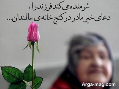 متن در مورد سالمندان