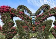 باغ پروانه دبی برای بازدید