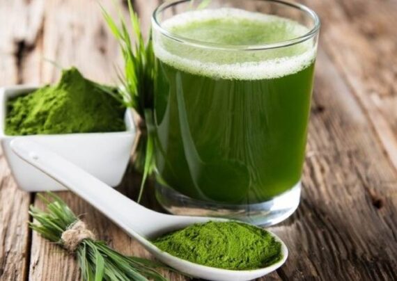 آشنایی با طرز تهیه نوشیدنی کلروفیل