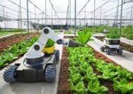 آشنایی با فواید مهم استفاده از هوش مصنوعی در کشاورزی