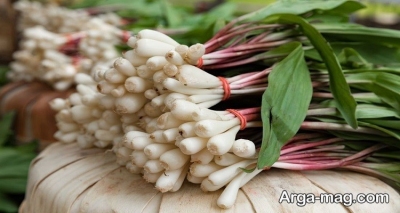 بررسی گیاه والک وحشی