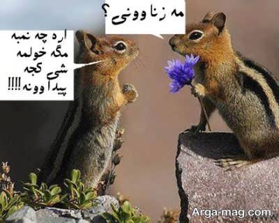 جملات طنز مازندرانی با مفاهیم ناب