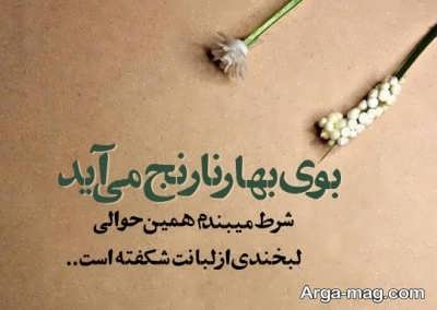 متن دلنشین در مورد بهار نارنج