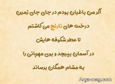 جملات ناب در مورد بهار نارنج