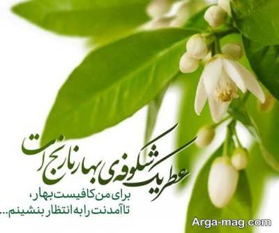 متن درباره بهار نارنج با مفغاهیم دلنشین
