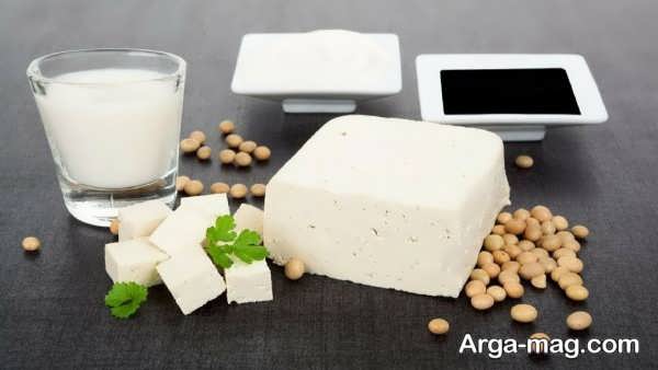 منابع پروبیوتیک طبیعی که باید بشناسید!