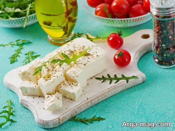 مواد غذایی پروبیوتیک دار