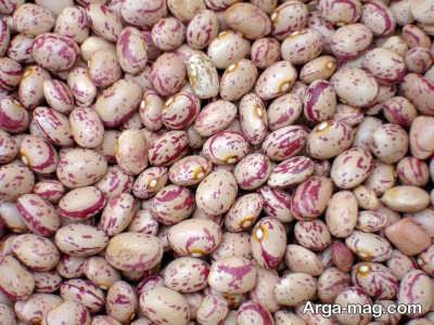 افزایش باردهی لوبیا چیتی