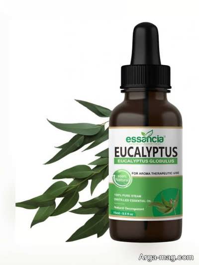 استفاده روغن اکالیپتوس