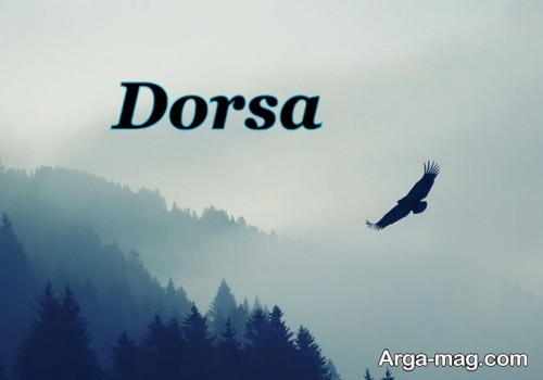 پروفایل اسم درسا برای استوری