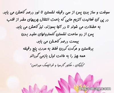 جملات زیبا رمان ایکیگای