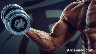 آشنایی با ورزش های کل بدن 