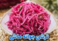 آشنایی با طرز تهیه ترشی جوانه ماش