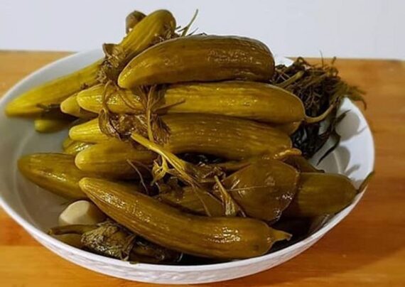 روش های کاهش شوری خیارشور