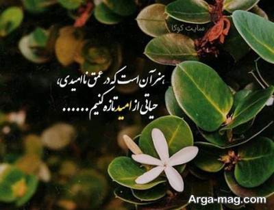 متن ناب درباره امید