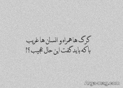 تک بیتی سنگین با مفاهیم ناب