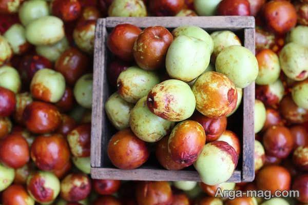 روش های صحیح نگهداری از عناب