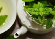 پونه در بارداری و مضرات آن