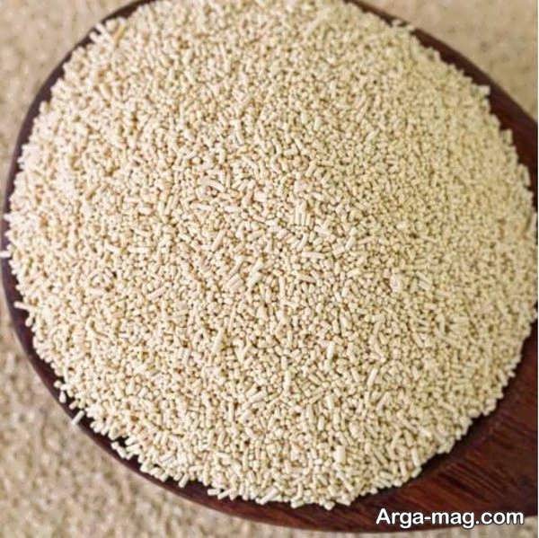شیوه نگهداری خمیر مایه