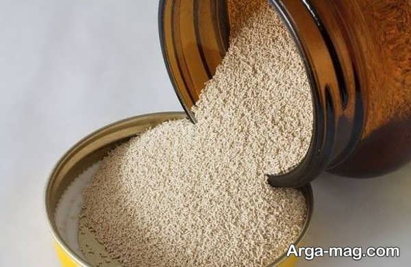 نحوه نگهداری خمیر مایه