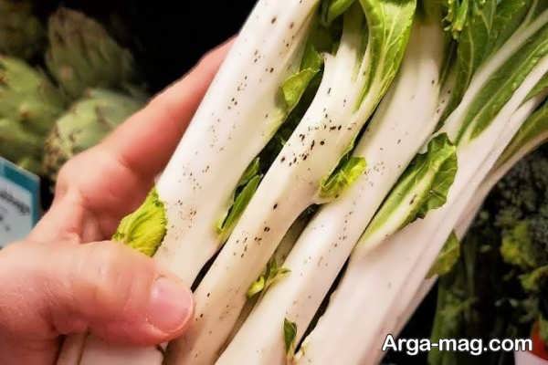 مراحل فریز کردن کنگر در خانه