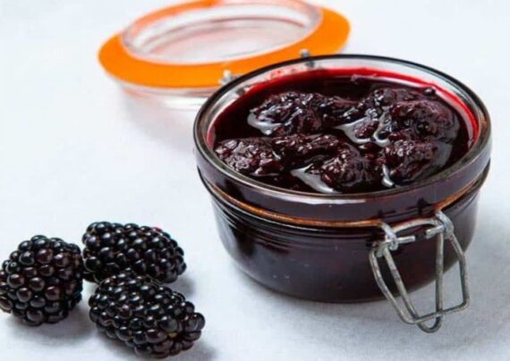 طرز تهیه کمپوت شاه ‌توت با شکر