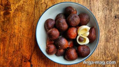 پرورش سالاک در خانه 