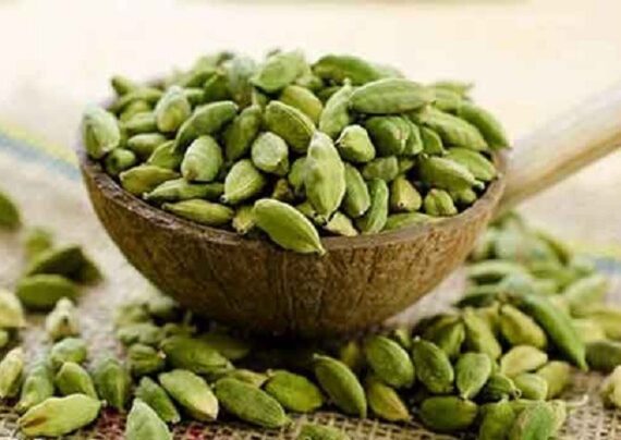 تعبیر خواب هل سبز